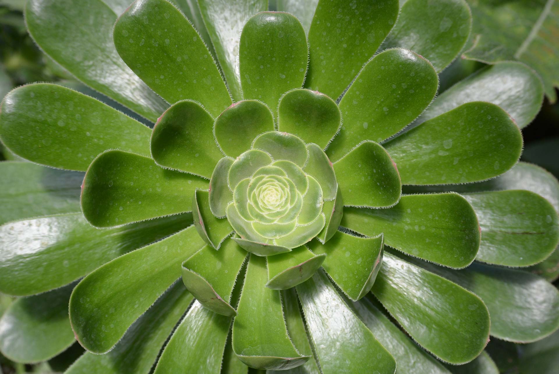 Fotoshooting Botanischer Garten 048